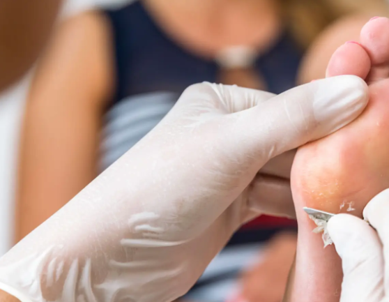 captura de pantalla 2026 07 07 121136